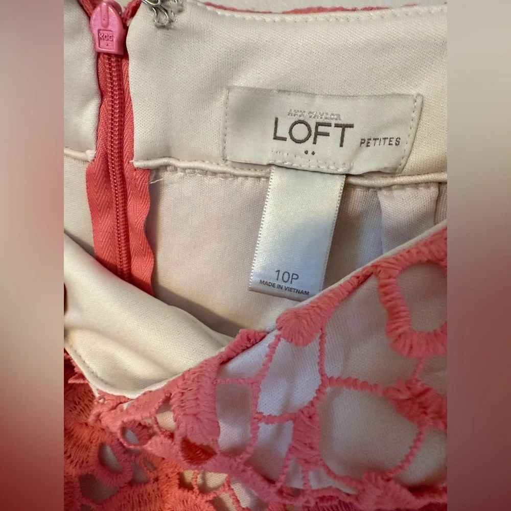 LOFT Coral Floral Lace Mini Skirt